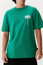 Palm verde2.webp