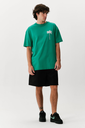 Palm verde.webp