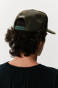 bone aspen1.webp