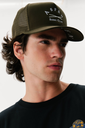 bone aspen2.webp