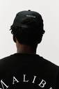 11003_cfe39646_2.webp