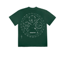 cactus_20442f4c-0eba-4693-b9d9-a7e66373e045.webp