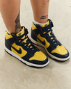 Nike Dunk High Michigan